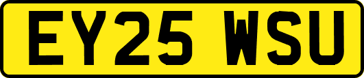 EY25WSU
