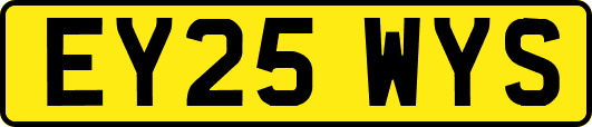 EY25WYS