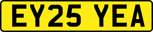 EY25YEA