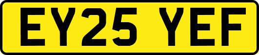 EY25YEF