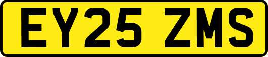 EY25ZMS