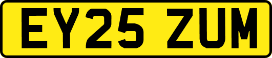 EY25ZUM