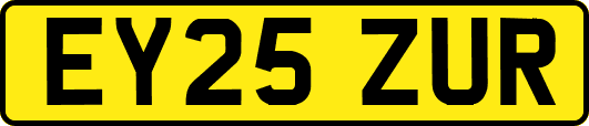EY25ZUR