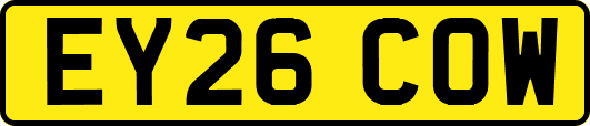 EY26COW