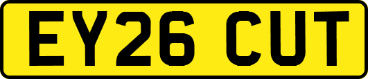 EY26CUT