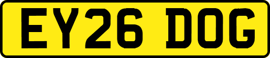 EY26DOG