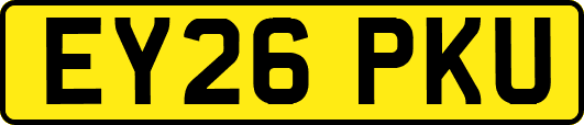 EY26PKU