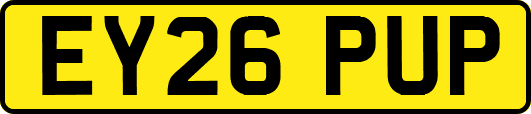 EY26PUP