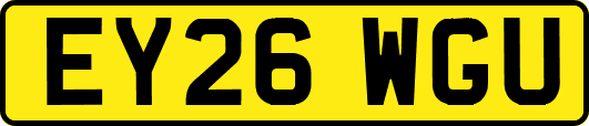 EY26WGU