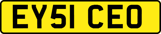 EY51CEO