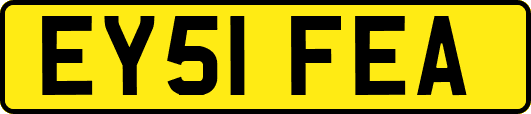 EY51FEA