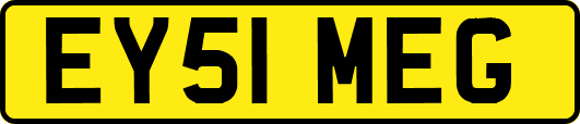 EY51MEG