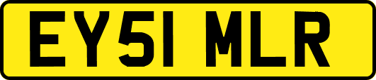EY51MLR