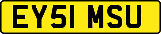 EY51MSU