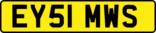 EY51MWS