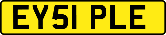 EY51PLE