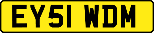 EY51WDM
