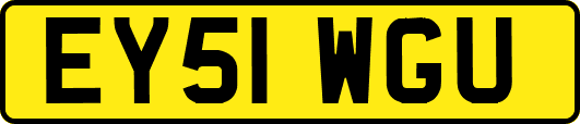 EY51WGU