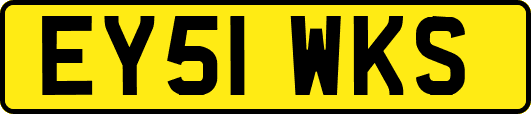 EY51WKS