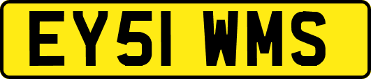 EY51WMS
