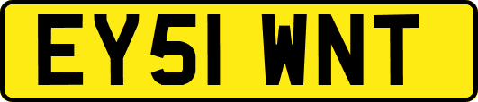 EY51WNT