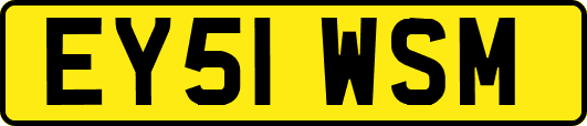 EY51WSM