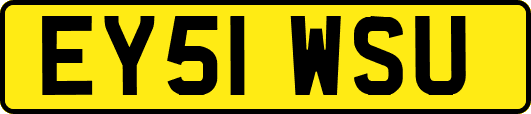 EY51WSU