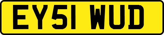 EY51WUD