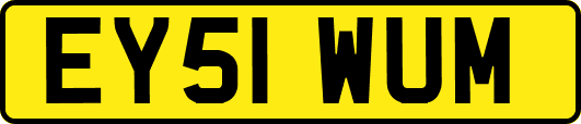 EY51WUM