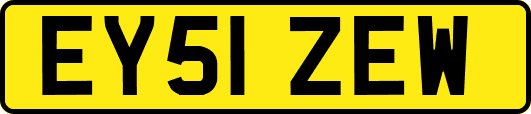 EY51ZEW