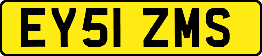 EY51ZMS