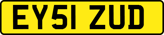 EY51ZUD