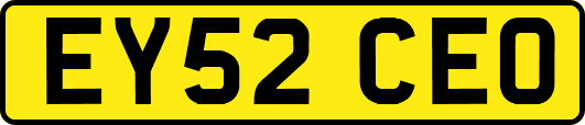 EY52CEO