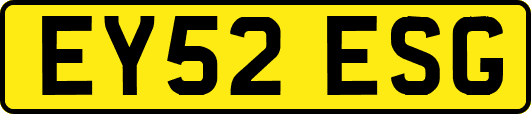EY52ESG