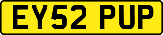 EY52PUP
