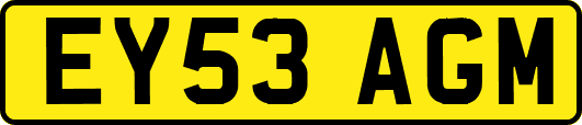 EY53AGM