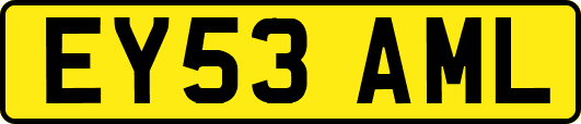 EY53AML