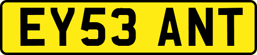 EY53ANT
