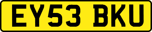 EY53BKU