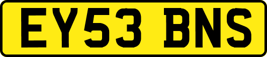 EY53BNS