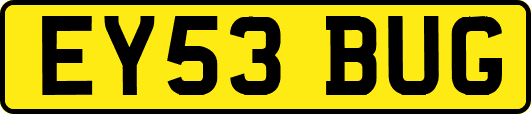 EY53BUG