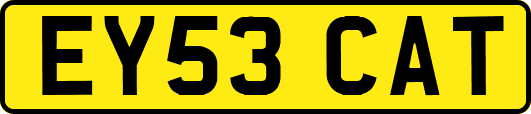 EY53CAT
