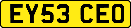 EY53CEO