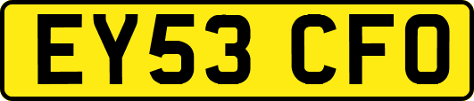 EY53CFO