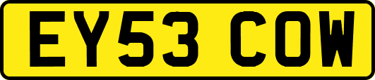 EY53COW