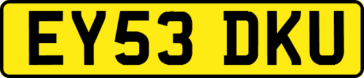 EY53DKU
