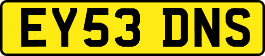 EY53DNS