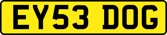 EY53DOG