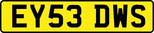 EY53DWS