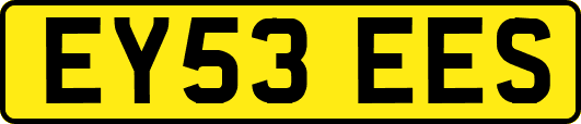 EY53EES